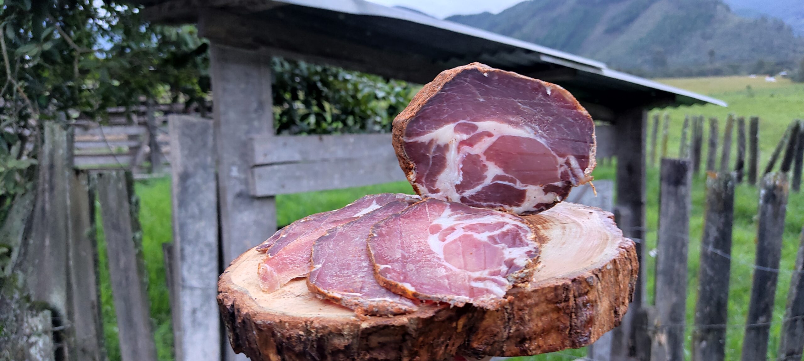 Bondiola La Rosarina